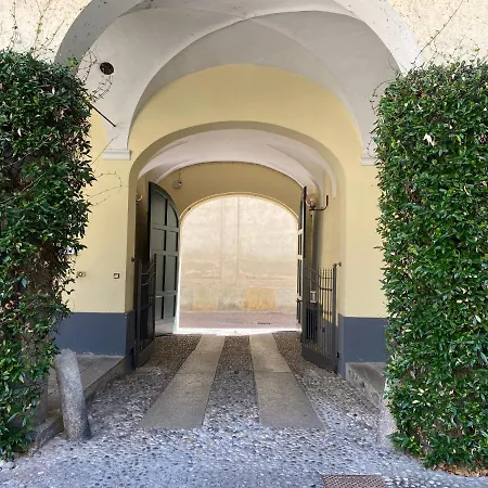 Center Two By Cinelli