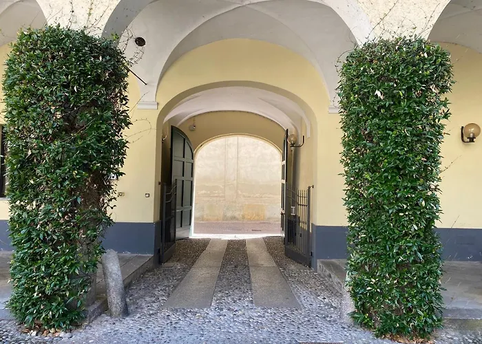 Center Two By Cinelli